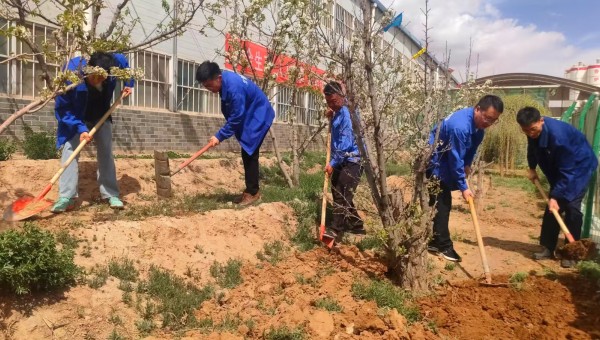 为强化企业文化建设，培养广大员工拼搏进取的团队精神，展现新时代青年昂扬风采，在“五一”国际劳动节和“五四”青年节来临之际，伟德源自英国始于1946各基层工会联合团支部开启了一场场别具特色的“劳动添绿+趣味竞技